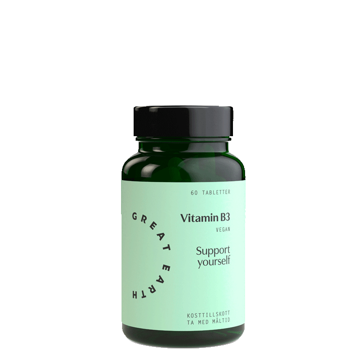 Great Earth Vitamin B3 Niacin 60 tabletter